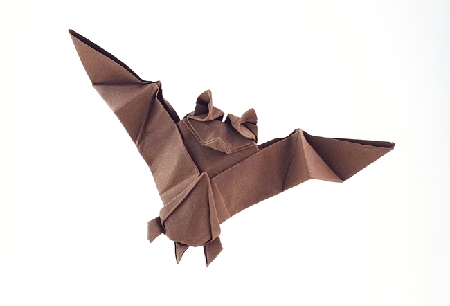 Origami Bat by Aoyagi Shoko. Wet folded from a square of Canson art paper by Gilad Aharoni on giladorigami.com