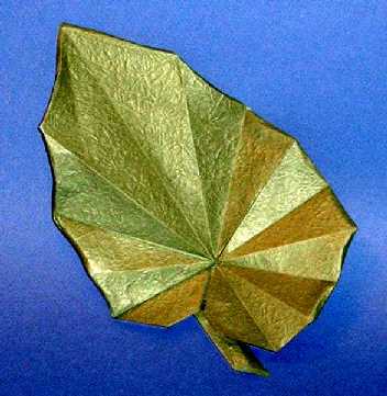 Origami Begonia leaf by Peter Engel. Folded from a square of Vietnamese wrapping-paper by Gilad Aharoni on giladorigami.com