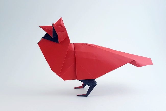 Origami North American Cardinal by Robert J. Lang. Folded from a square of duo origami paper by Gilad Aharoni on giladorigami.com