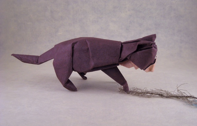 Origami Cat by David Brill. Folded by Gilad Aharoni on giladorigami.com
