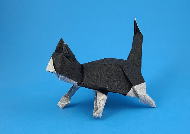 Origami Black and white cat by David Brill. Folded from a square of Duo Thai origami paper by Gilad Aharoni on giladorigami.com