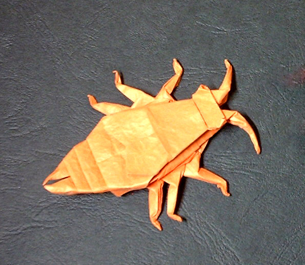 Origami Earwig by John Montroll. Folded by Gilad Aharoni on giladorigami.com