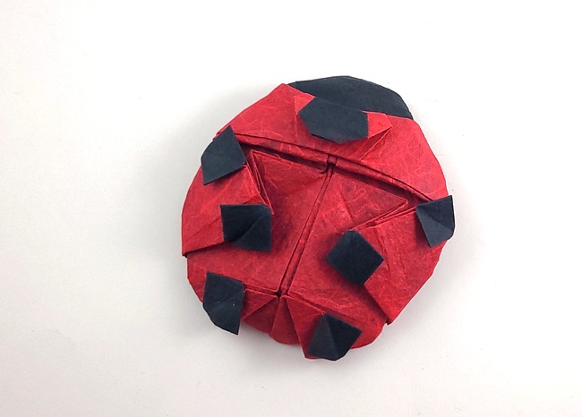 Origami Ladybug by Inayoshi Hidehisa folded by Gilad Aharoni