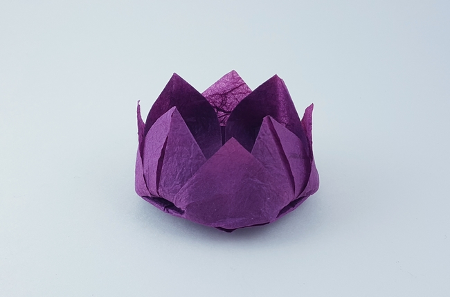 Origami Lotus by Traditional. Folded by Gilad Aharoni on giladorigami.com