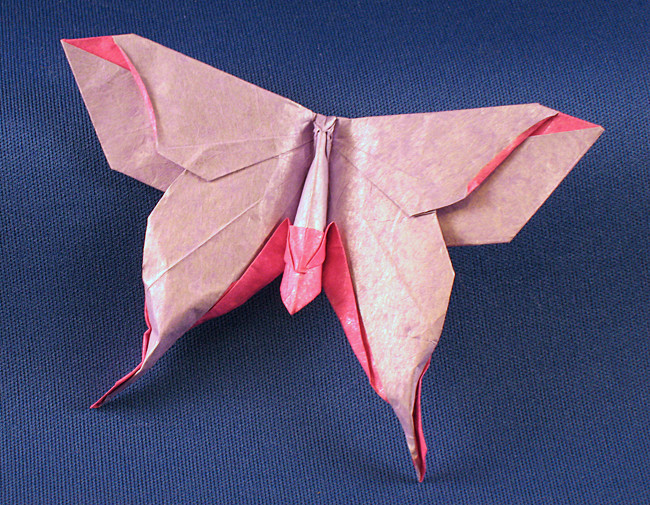 Origami Moth - Mudarri Luna by Michael G. LaFosse. Folded by Gilad Aharoni on giladorigami.com