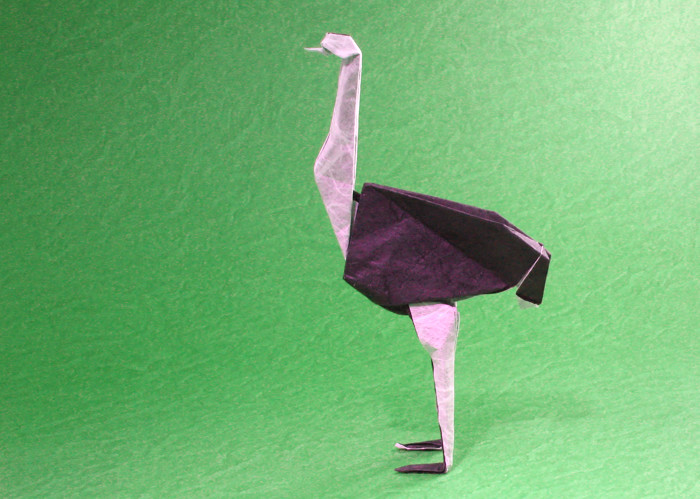 Origami Ostrich by Pasquale d'Auria. Folded by Gilad Aharoni on giladorigami.com