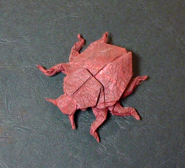 Origami Scavenger beetle by John Montroll. Folded by Gilad Aharoni on giladorigami.com