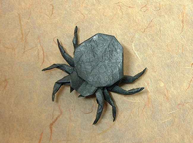 Origami Spider by John Montroll. Folded by Gilad Aharoni on giladorigami.com