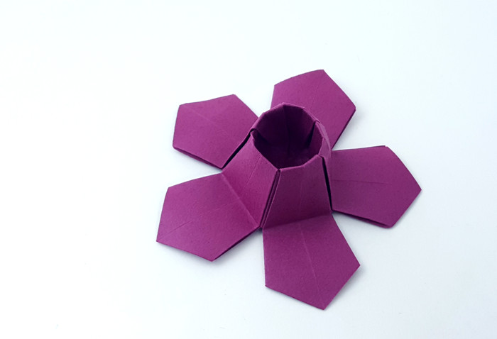 Origami Volcano Flower by Etai Bokea. Folded from a pentagon of Tant paper by Gilad Aharoni on giladorigami.com