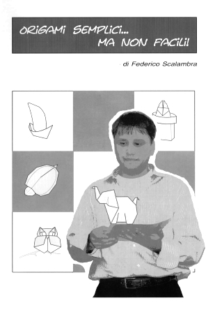Origami Semplici ma non Facil - Simple but not Easy Origami - QQM 46 book cover