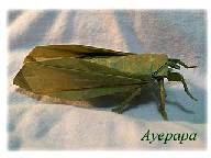 Origami Shizuoka Cicada by Robert J. Lang on giladorigami.com