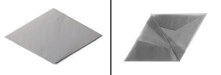 Origami Xray pelican