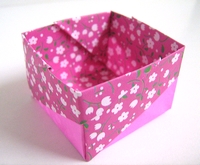 Origami Bristol box by Daniel Geraint Mason on giladorigami.com