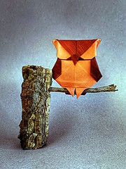 Origami Owl by Patricio Kunz Tomic on giladorigami.com