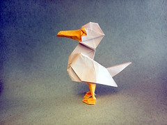 Origami Seagull by Jiahui Li (Syn) on giladorigami.com