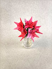 Origami Cestrum by Yara Yagi on giladorigami.com