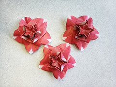 Origami Hoya by Yara Yagi on giladorigami.com