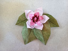 Origami Magnolia by Yara Yagi on giladorigami.com