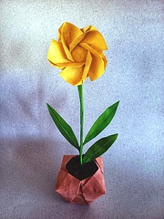 Origami Oleander by Yara Yagi on giladorigami.com