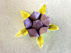 Origami Petrea by Yara Yagi on giladorigami.com