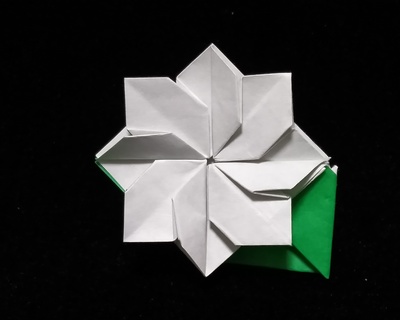 Origami Daisy bookmark by Andy Li on giladorigami.com