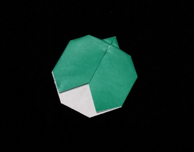 Origami Bug by Daniel Lieben-Wolf on giladorigami.com