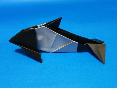 Origami Commerson