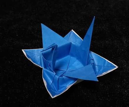 Origami Crane dish A by Kawai Toyoaki on giladorigami.com