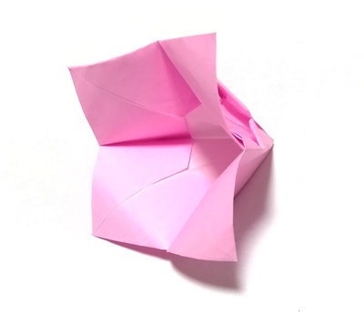 Origami Duo blossom by Delrosa Marshall on giladorigami.com