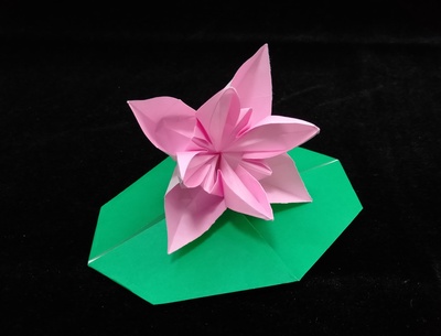 Origami Water lily by Sumida Noriko on giladorigami.com